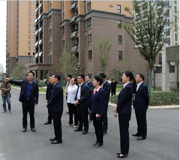 住房和城乡建设部副部长倪虹一行到徽盐地产六安项目参观调研